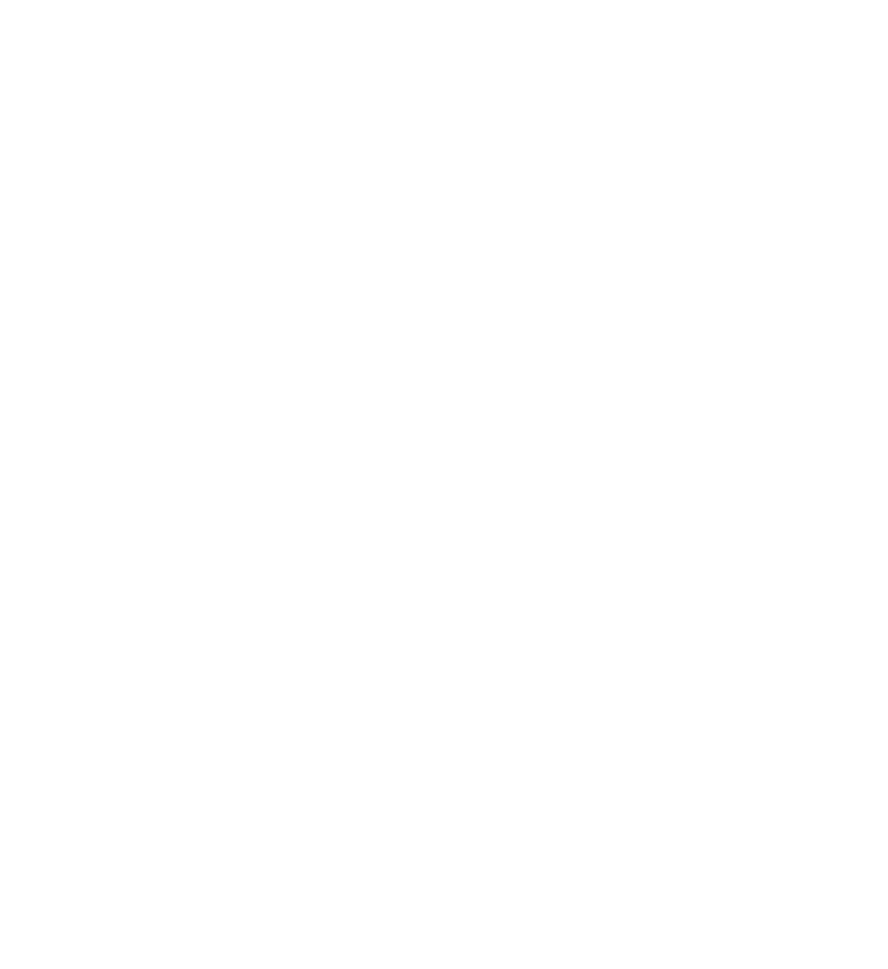 Leo EST. T-Shirt
